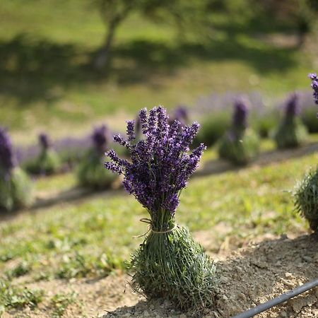 Lavender Valley Perekrestnoye Exterior foto