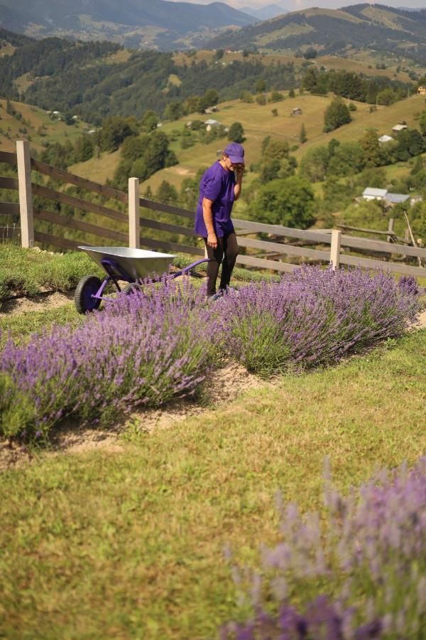 Lavender Valley Perekrestnoye Exterior foto